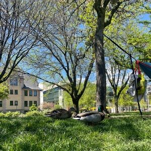 Meet your Posher, Maureen